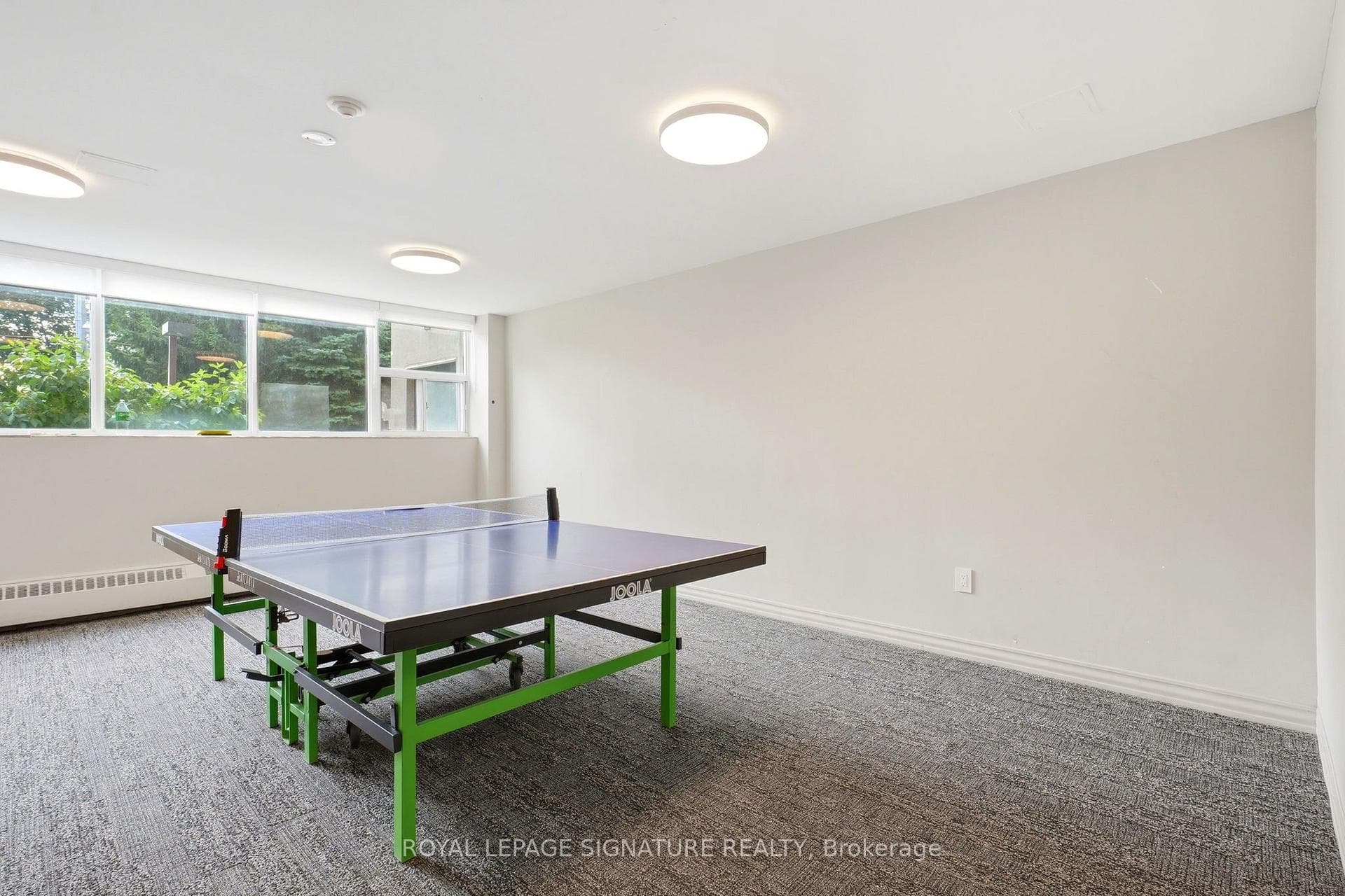 502- 45 Southport Street — property photo