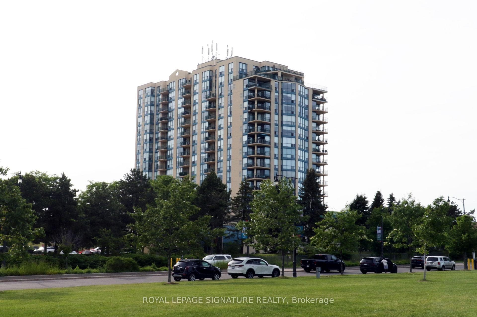 1004- 65 Ellen Street — property photo