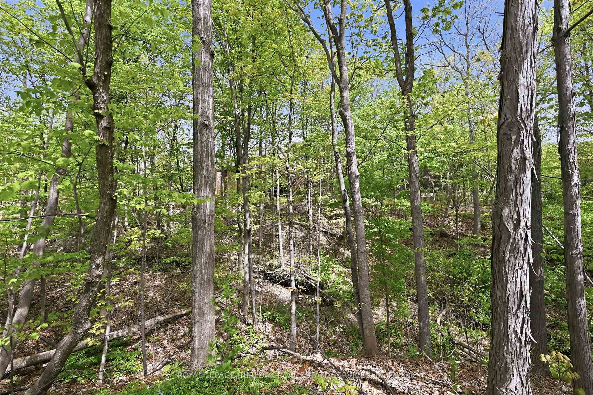 4- 1095 Skyview Drive — property photo