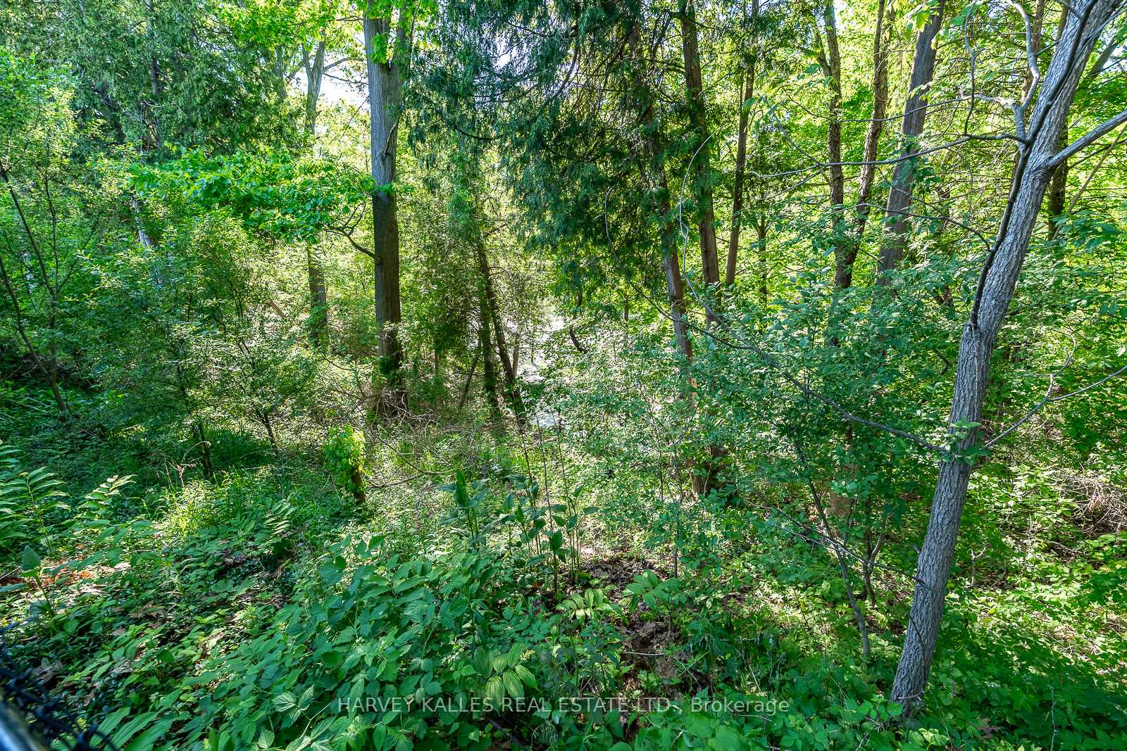 1033 Fair Birch Drive — property photo