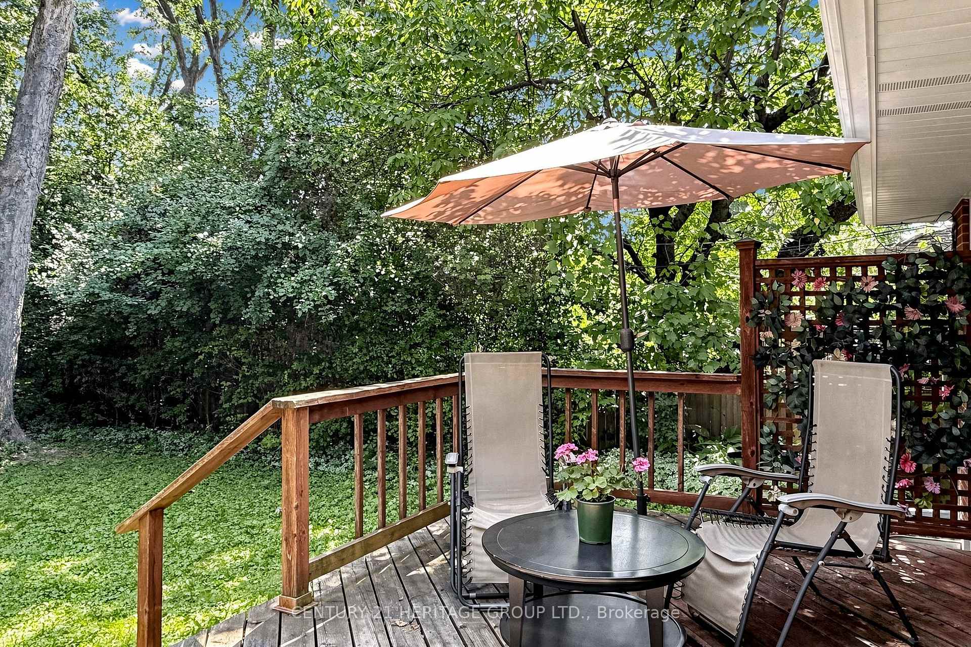 11 Elynhill Drive — property photo
